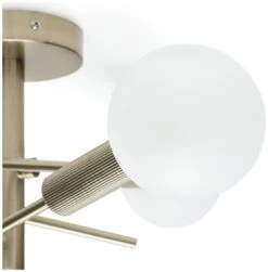 Habitat Globe Ribbed Metal Bathroom Ceiling Light - Brass -Habitat Furni Sales 1233711 R Z002A