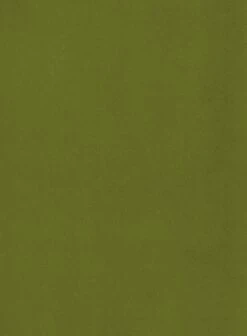 Habitat Alexis Velvet Cocktail Chair - Olive -Habitat Furni Sales 1341287 R B001