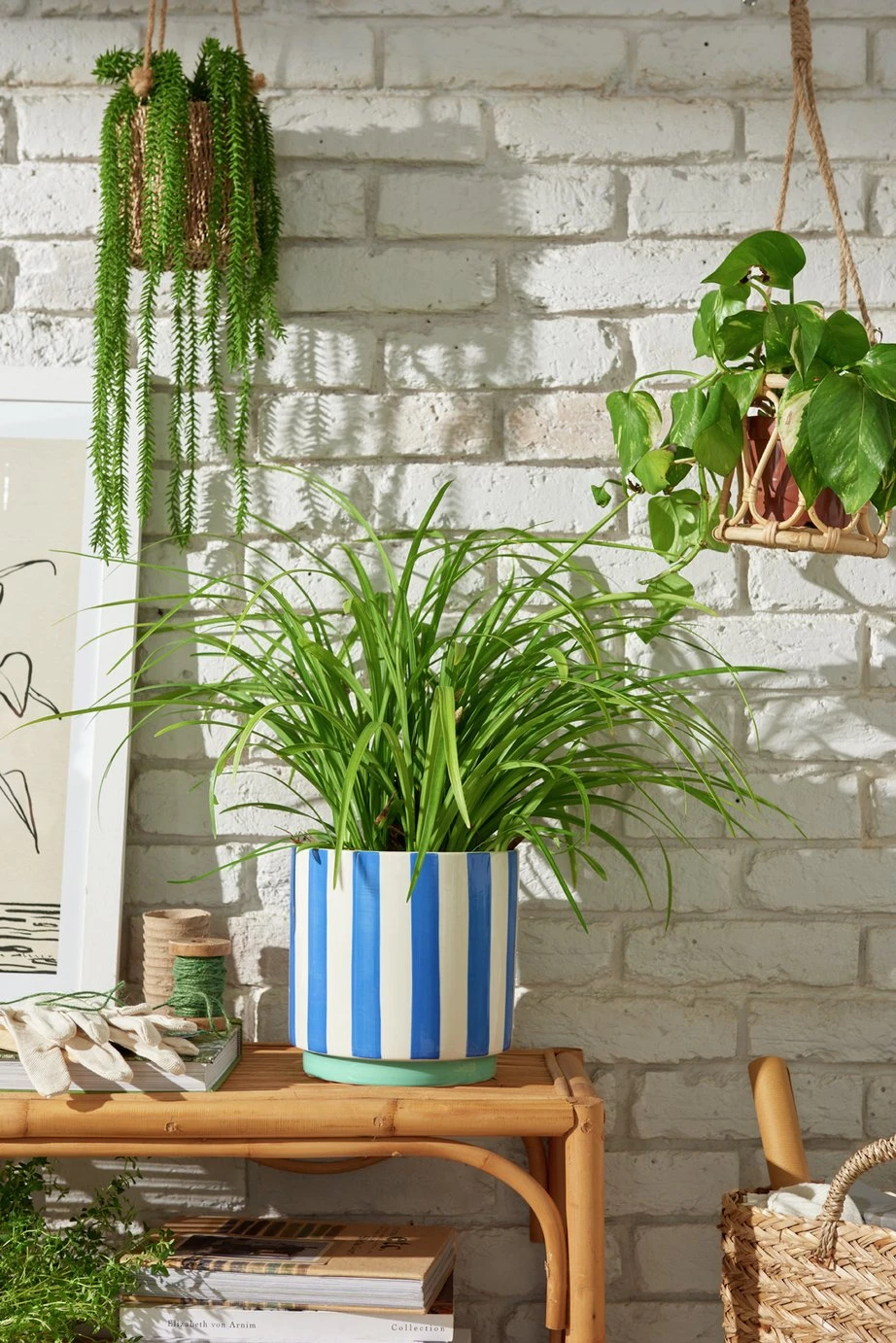 Habitat Blue Stripe Ceramic Planter Habitat Blue Stripe Ceramic Planter -Habitat Furni Sales 2018155 R Z001C