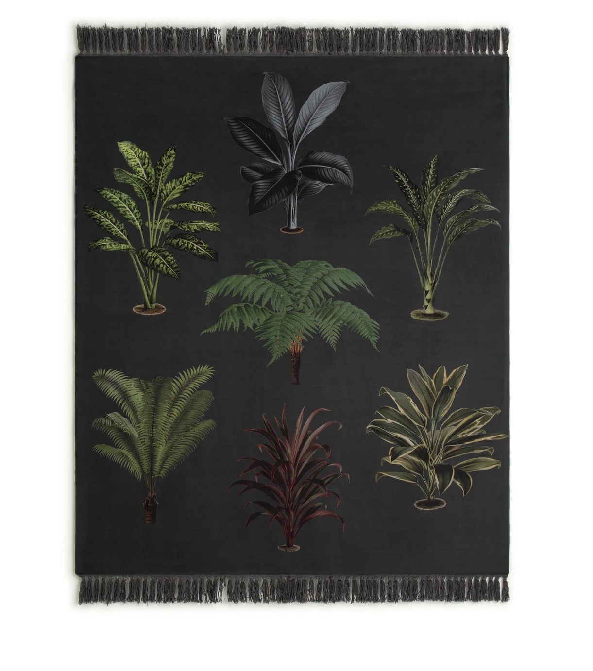 Habitat Graphic Palm Printed Throw - Black - 125X150cm Habitat Graphic Palm Printed Throw - Black - 125X150cm -Habitat Furni Sales 2067869 R Z004A