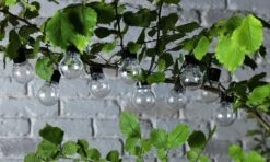 Habitat 20 Warm White Festoon Solar Lights -Habitat Furni Sales 9133916 R Z006A