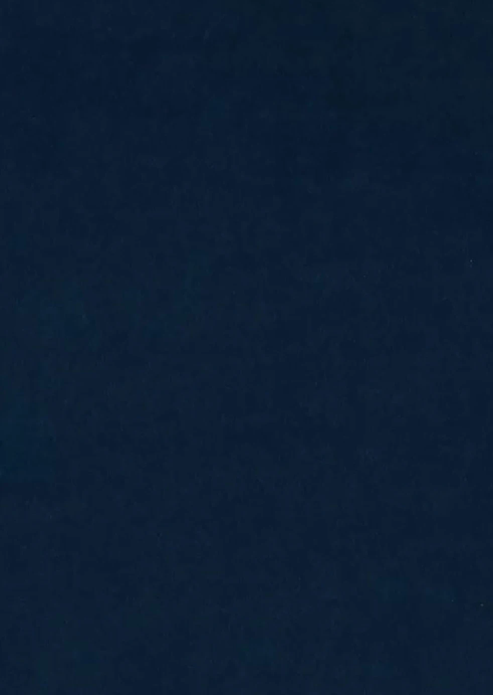 Habitat Chesterfield Velvet Armchair - Blue Habitat Chesterfield Velvet Armchair - Blue -Habitat Furni Sales 9449325 R B001