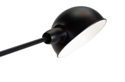 Habitat Jalonee Double Arm Floor Lamp - Black & Brass 7 Habitat Jalonee Double Arm Floor Lamp - Black & Brass -Habitat Furni Sales 9616127 R Z006A